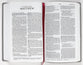 NKJV Holy Bible For Kids Verse Art Cover Collection Gray