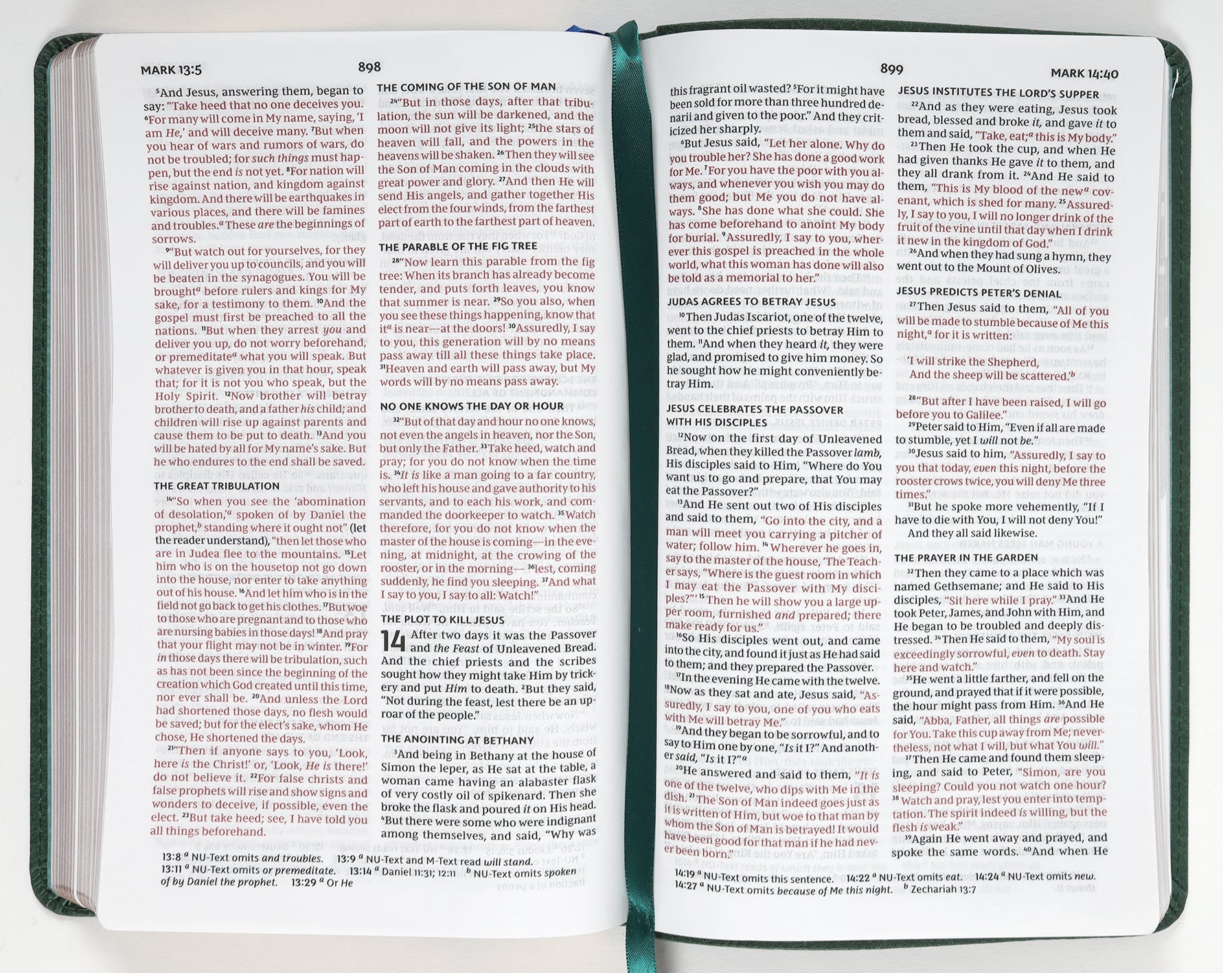 NKJV Thinline Youth Edition Bible Verse Art Cover Collection Green (Red Letter Edition)