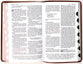 NKJV Personal Size Reference Bible Verse Art Cover Collection Tan Thumb Indexed (Red Letter Edition)
