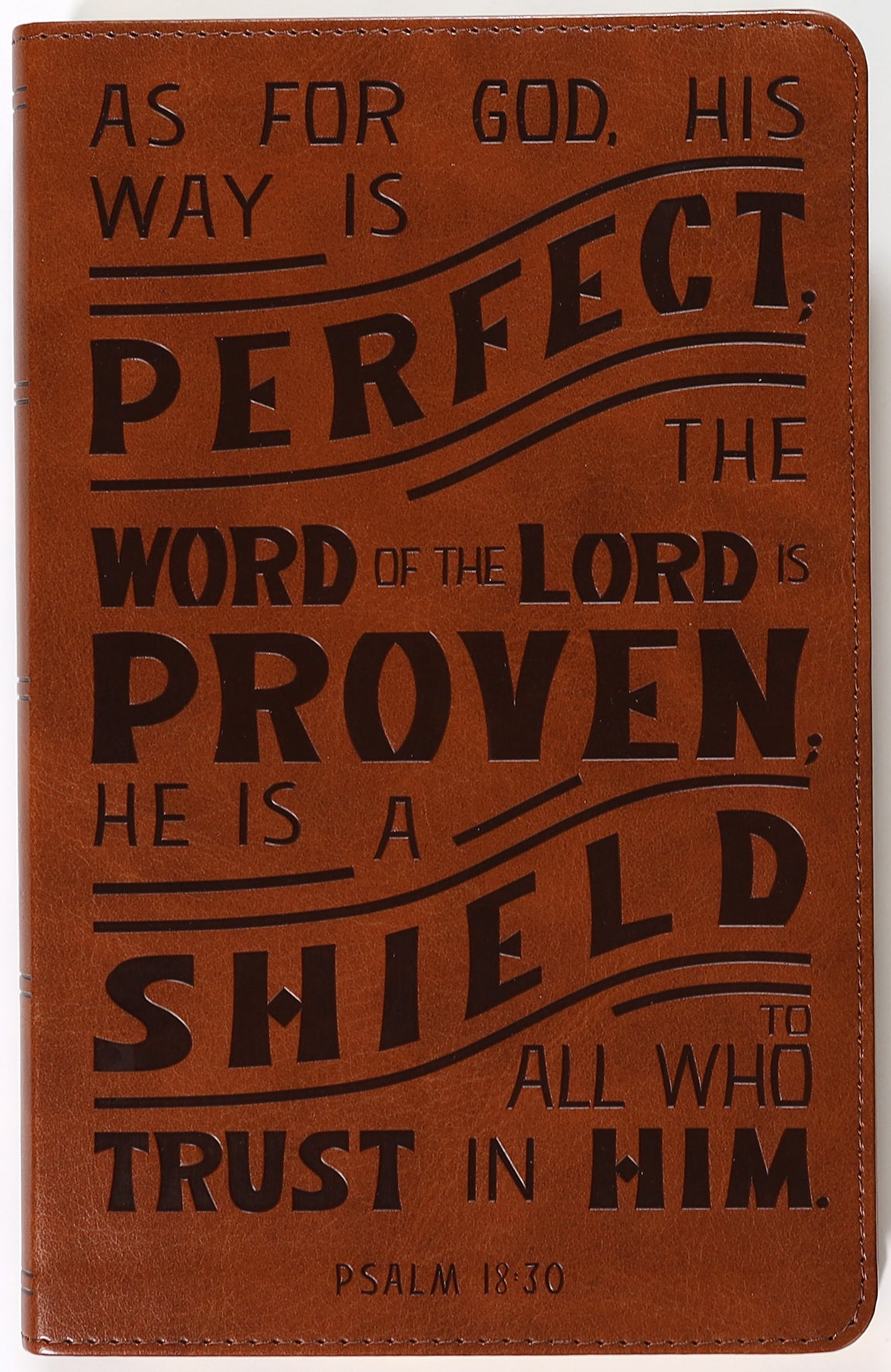 NKJV Personal Size Reference Bible Verse Art Cover Collection Tan Thumb Indexed (Red Letter Edition)