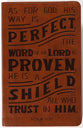 NKJV Personal Size Reference Bible Verse Art Cover Collection Tan Thumb Indexed (Red Letter Edition)