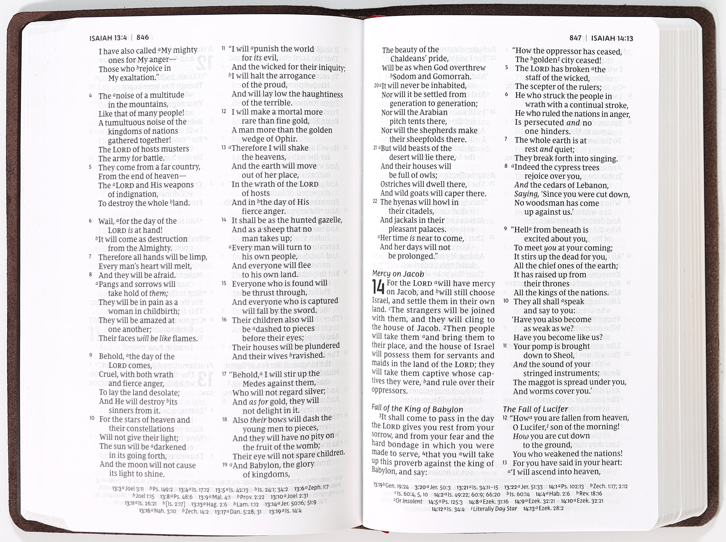 NKJV Personal Size Reference Bible Verse Art Cover Collection Brown (Red Letter Edition)