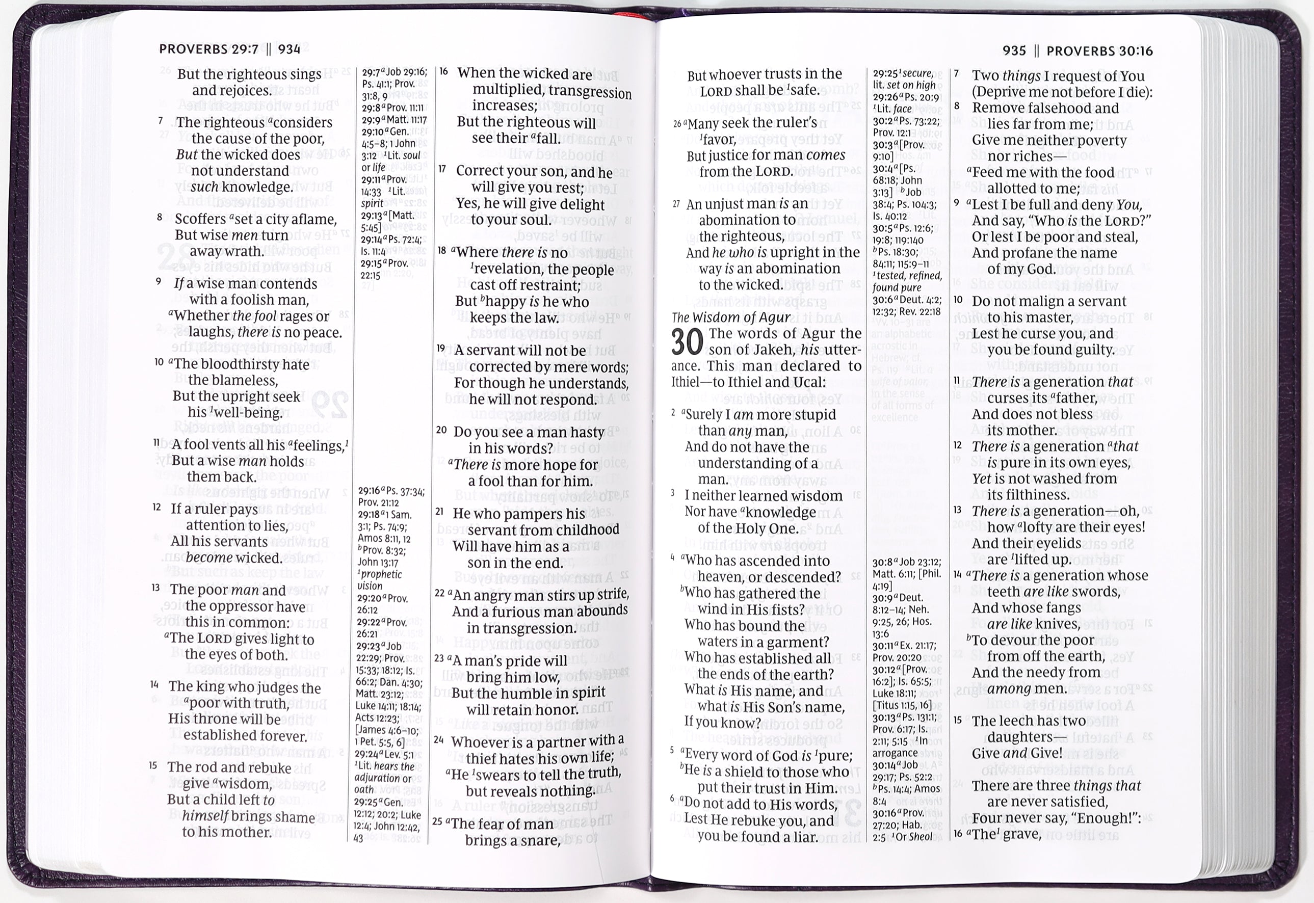 NKJV Giant Print Center-Column Reference Bible Verse Art Cover Collection Purple (Red Letter Edition)