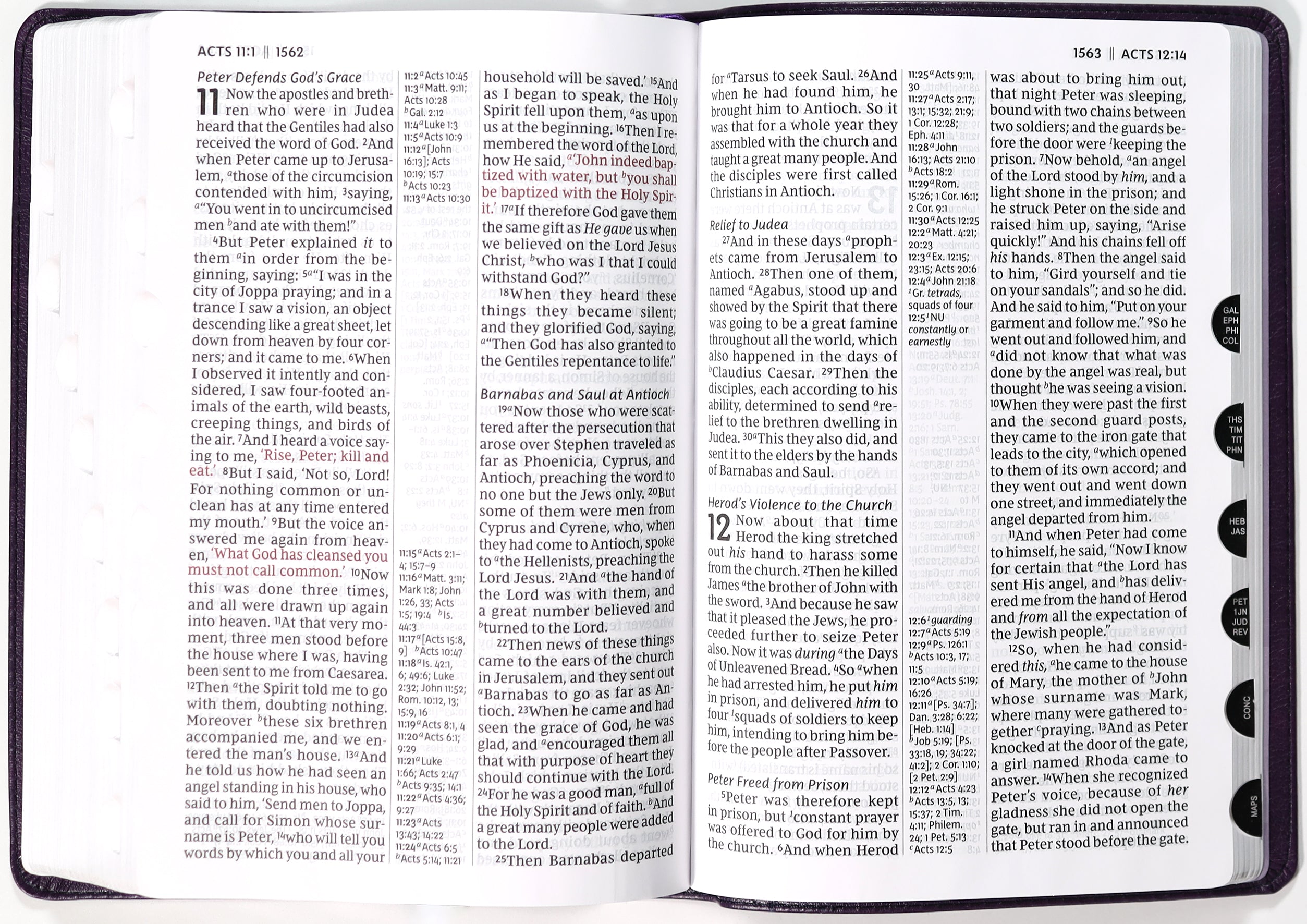 NKJV Giant Print Center-Column Reference Bible Verse Art Cover Collection Purple Thumb Indexed (Red Letter Edition)