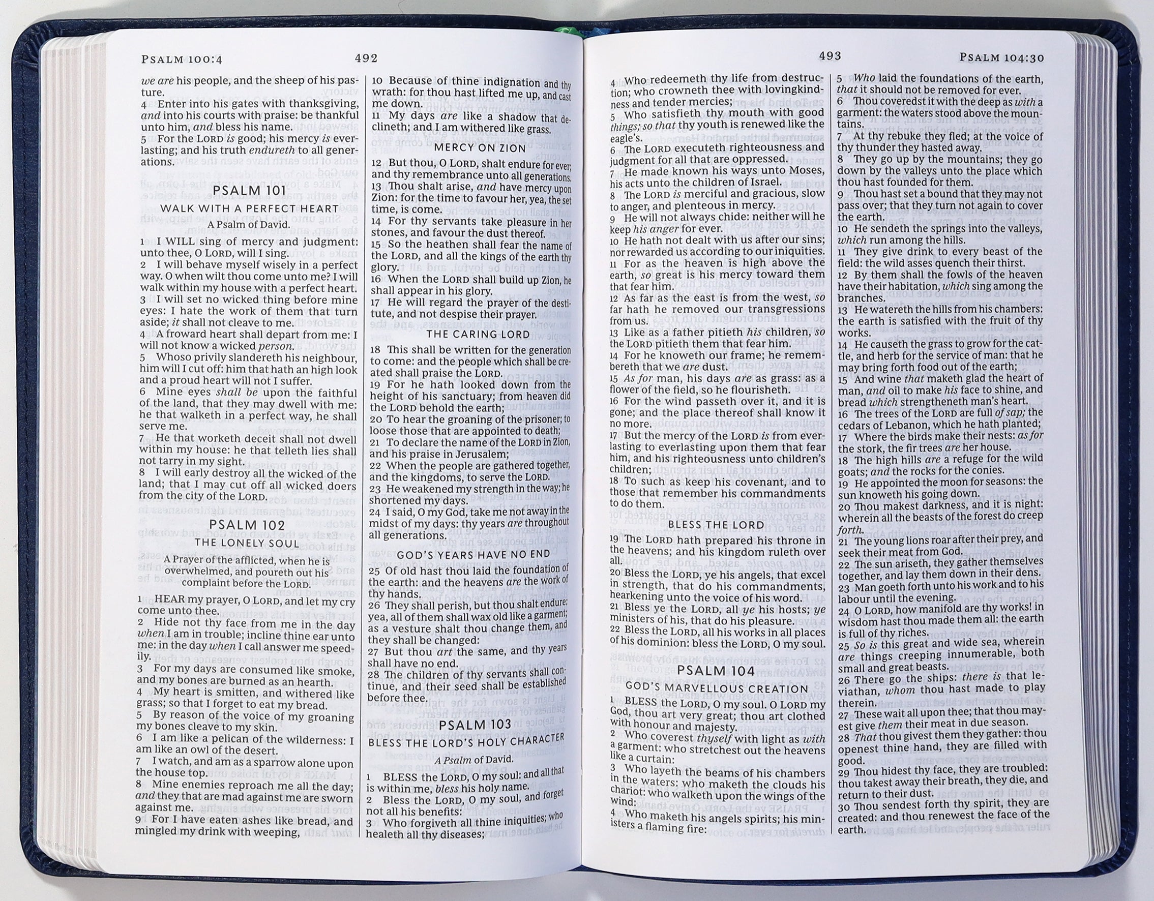 KJV Thinline Youth Edition Bible Verse Art Cover Collection Blue (Red Letter Edition)