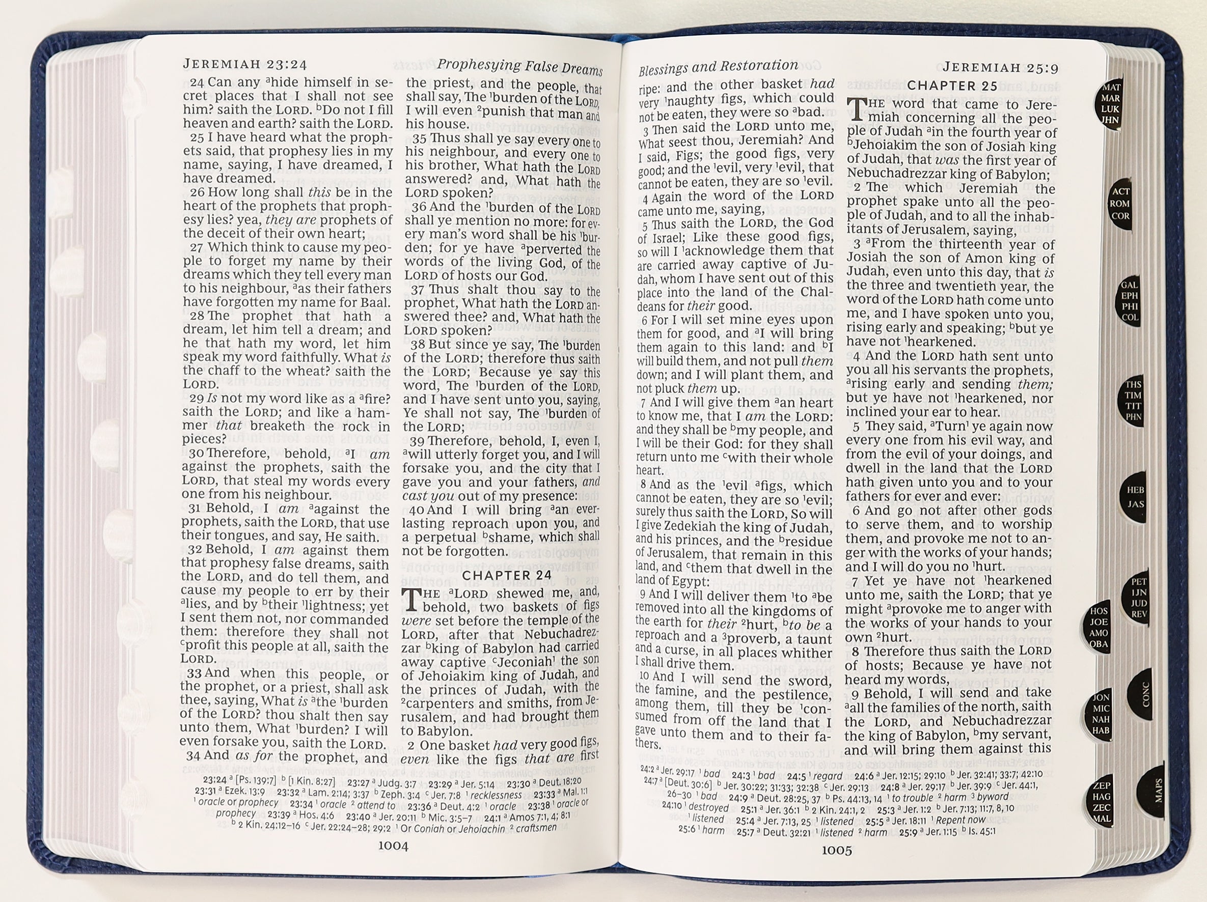 KJV Personal Size Reference Bible Verse Art Cover Collection Blue Thumb Indexed (Red Letter Edition)