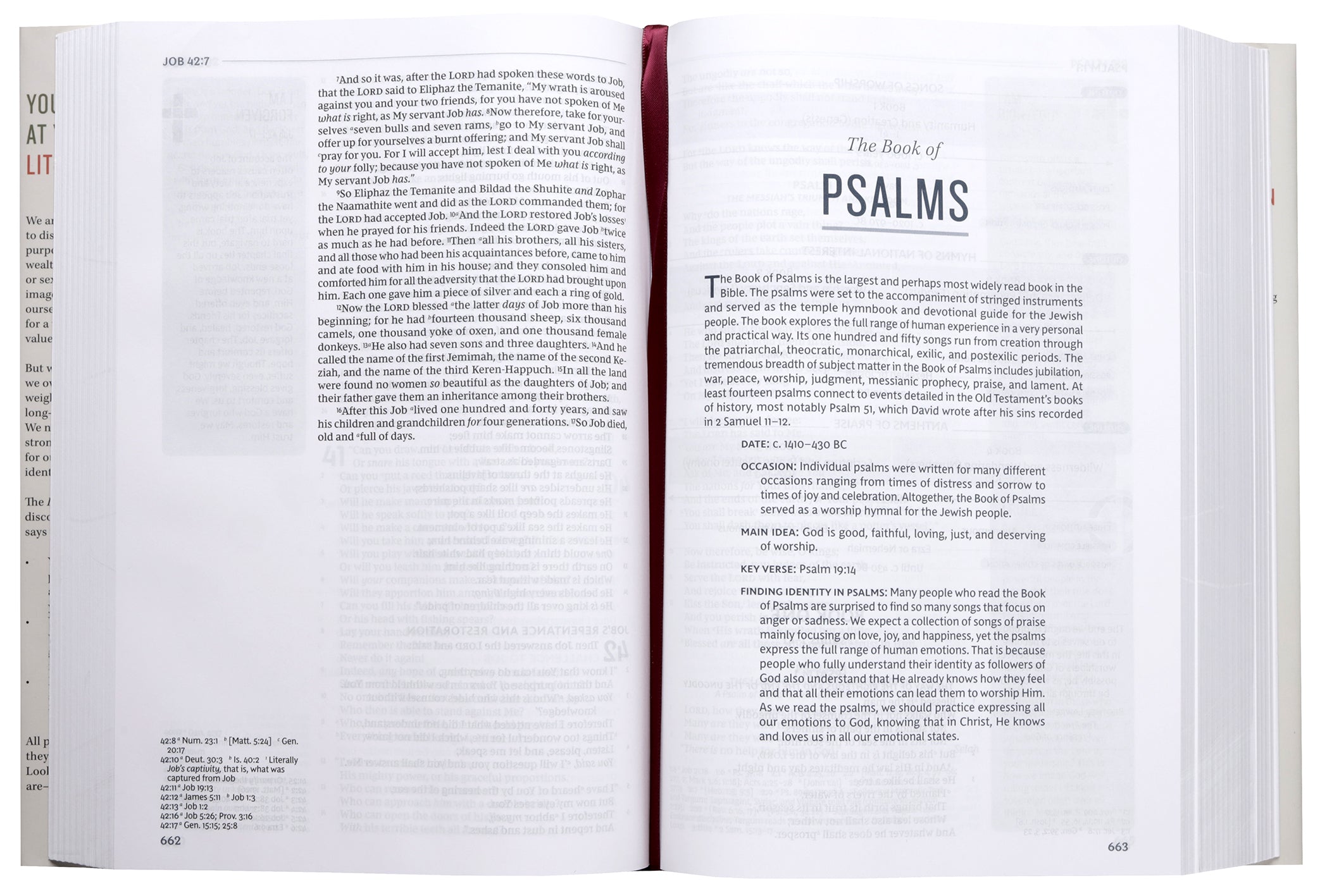 NKJV Life in Christ Bible: Discovering, Believing, and Rejoicing in Who God Says You Are  (Red Letter Edition)