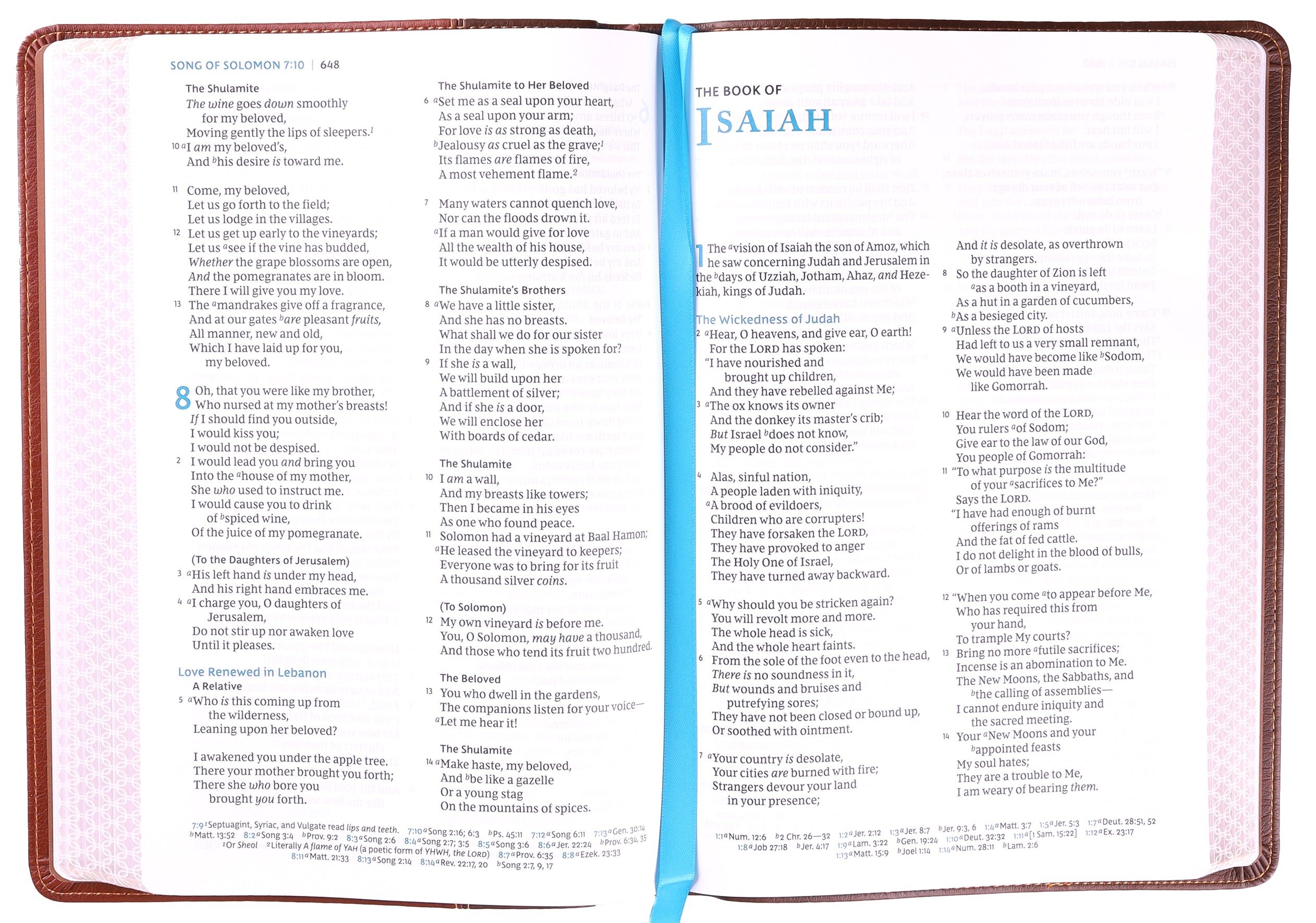 NKJV Large Print Thinline Reference Bible Maclaren Series Brown (Blue Letter Edition- Colorblind Friendly)