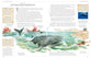 The Dk Illustrated Family Bible