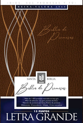 Rv1960 Biblia De Promesa Letra Grande Cafe Moderno