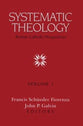 Systematic Theology (Vol 1)