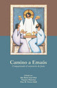 Camino A. Emaus: Compartiendo El Ministerio De Jesus (Spanish)