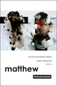 Matthew (Texts And Contexts Series)
