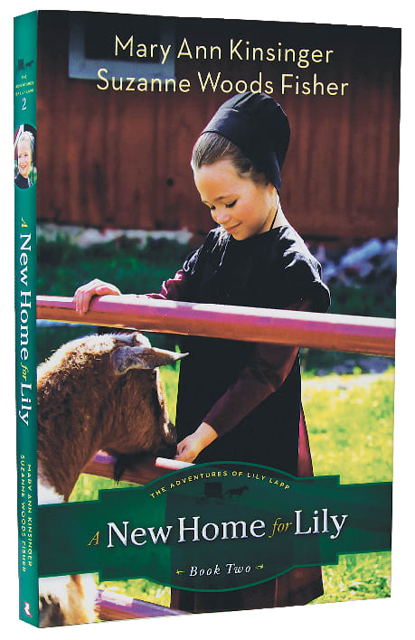 A New Home For Lily (#02 in The Adventures Of Lily Lapp Series)