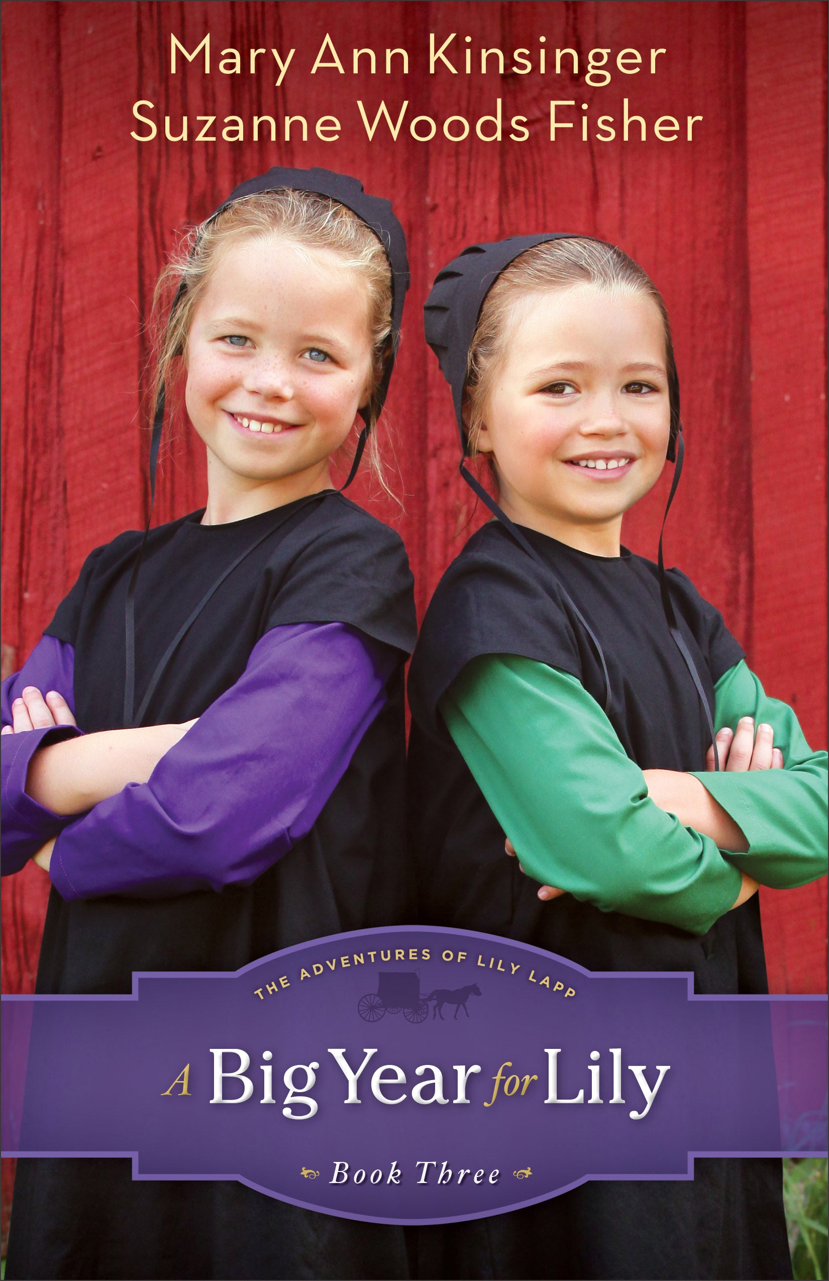 A Big Year For Lily (#03 in The Adventures Of Lily Lapp Series)
