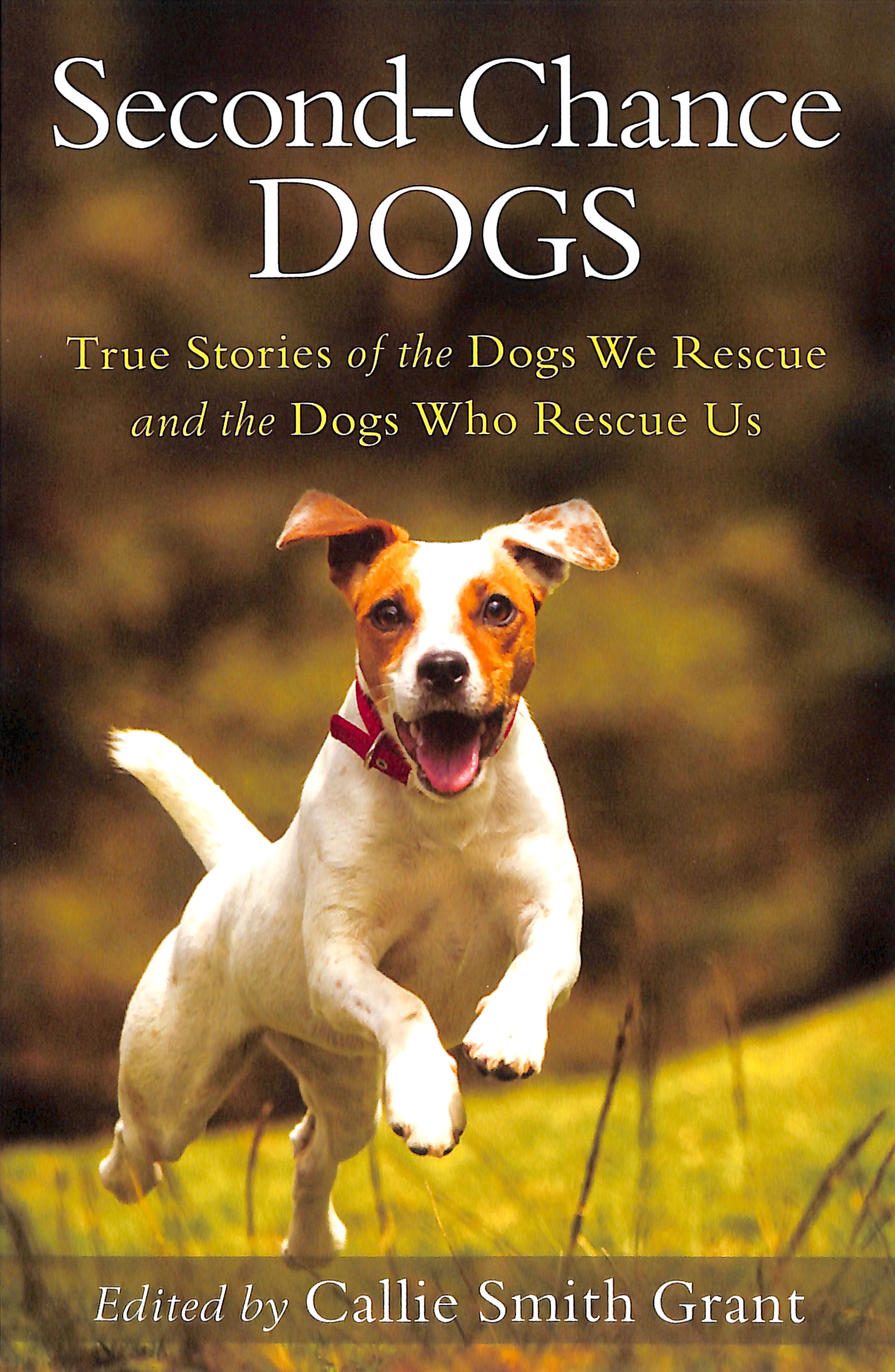 Second-Chance Dogs: True Stories of the Dogs We Rescue and the Dogs Who Rescue Us