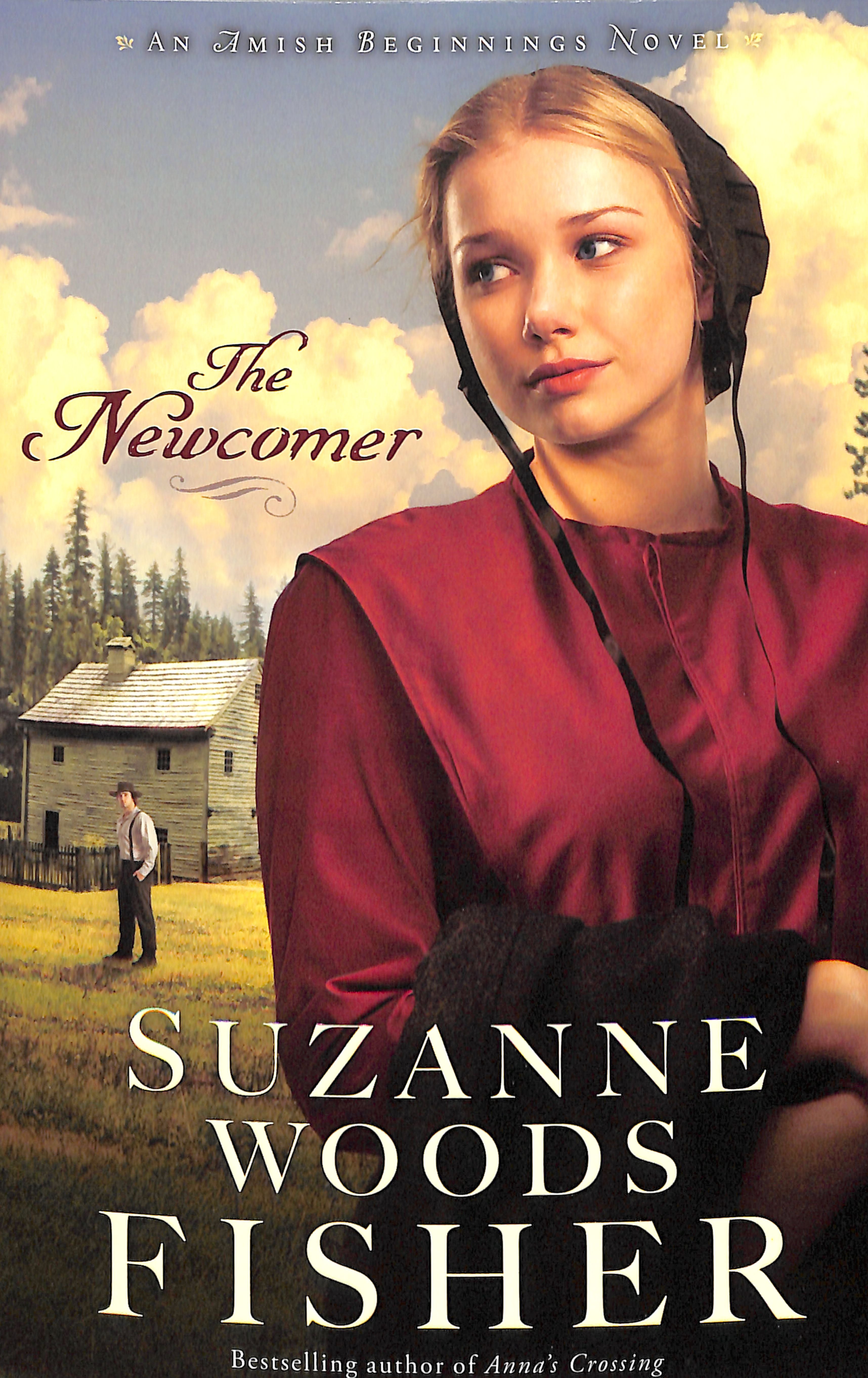 The Newcomer (#02 in Amish Beginnings Novel Series)