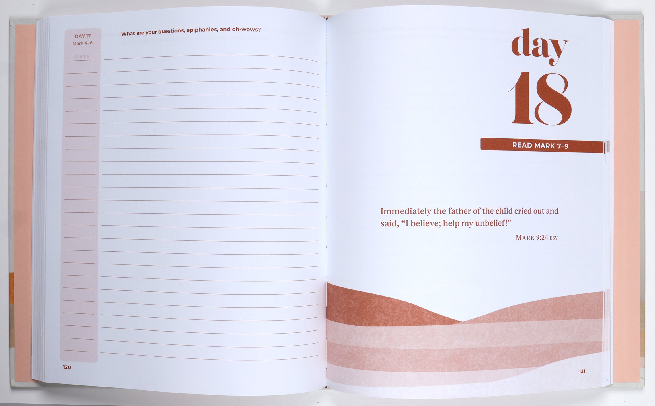 Let's Read the Gospels: A Guided Journal