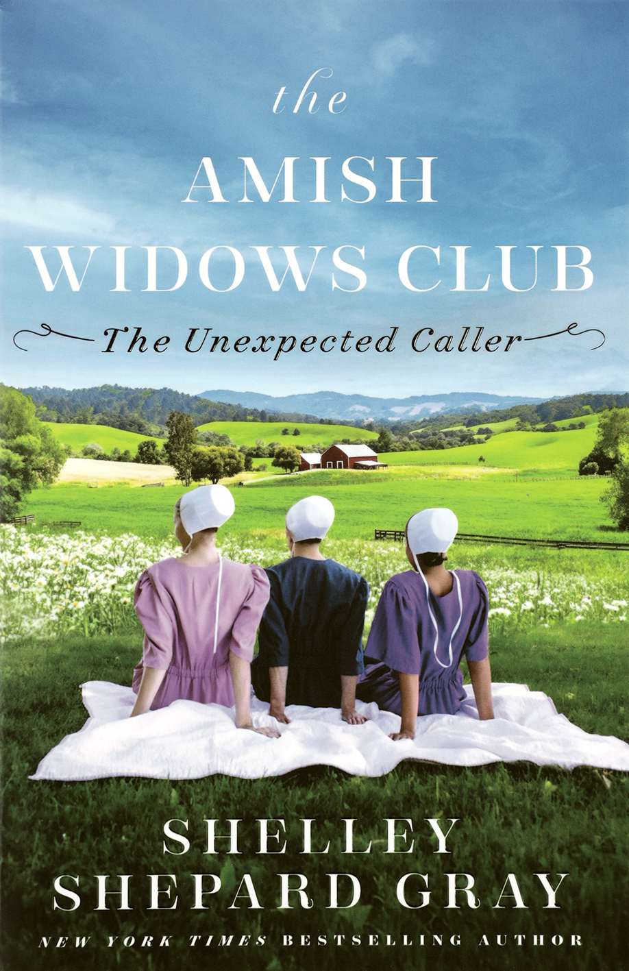 The Unexpected Caller (#01 in The Amish Widows Club Series)