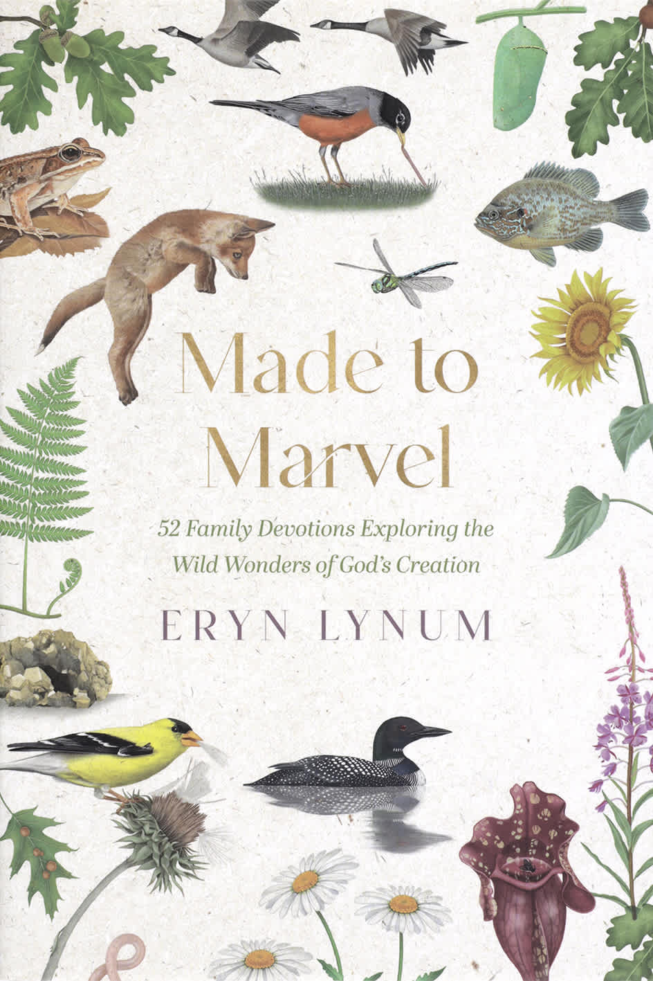 Made to Marvel: 52 Family Devotions Exploring the Wild Wonders of God's Creation