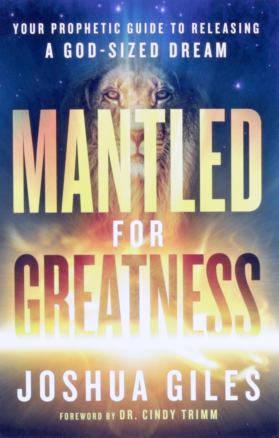 Mantled For Greatness: Your Prophetic Guide to Releasing a God-Sized Dream