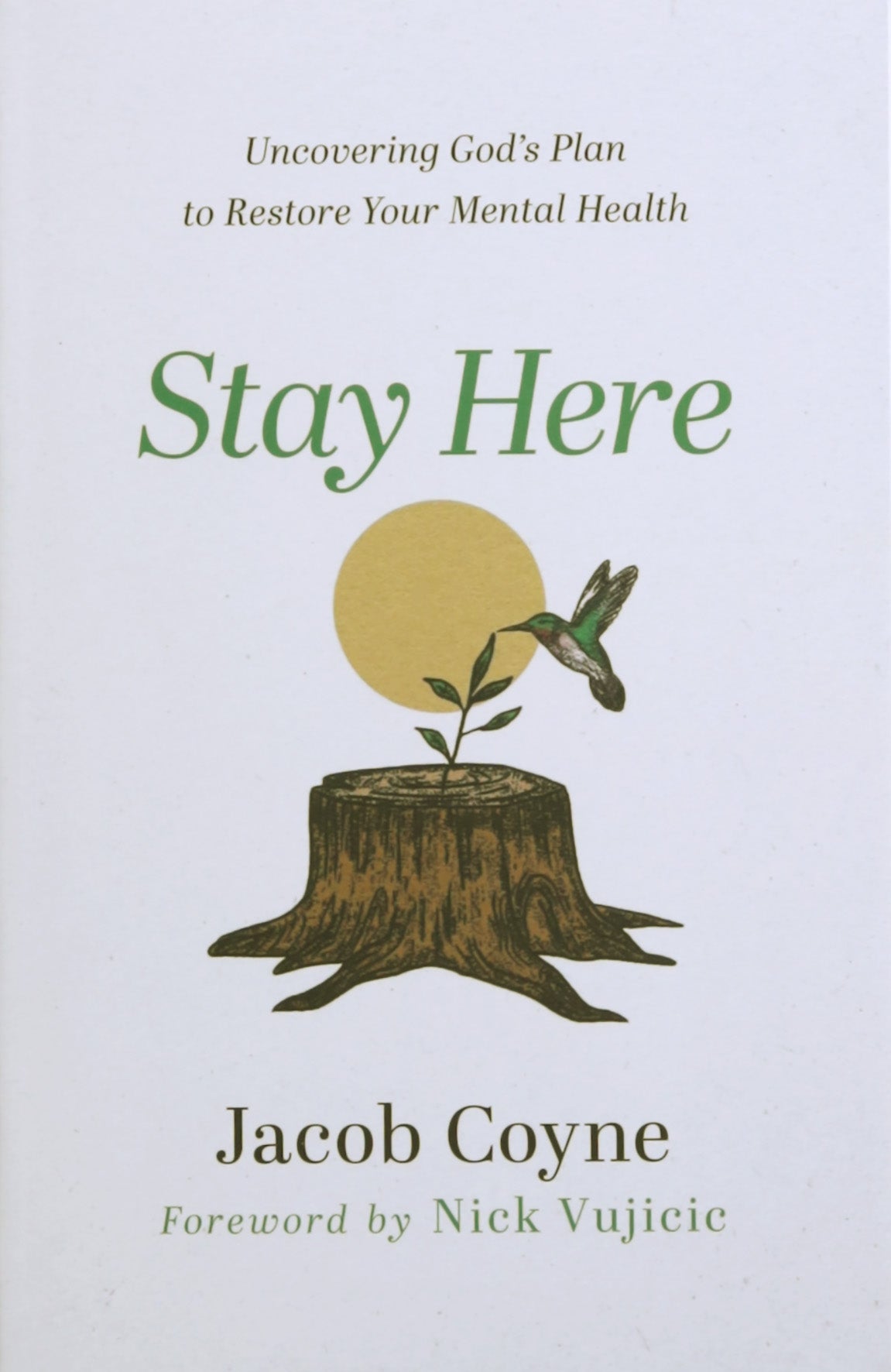 Stay Here: Uncovering God's Plan to Restore Your Mental Health
