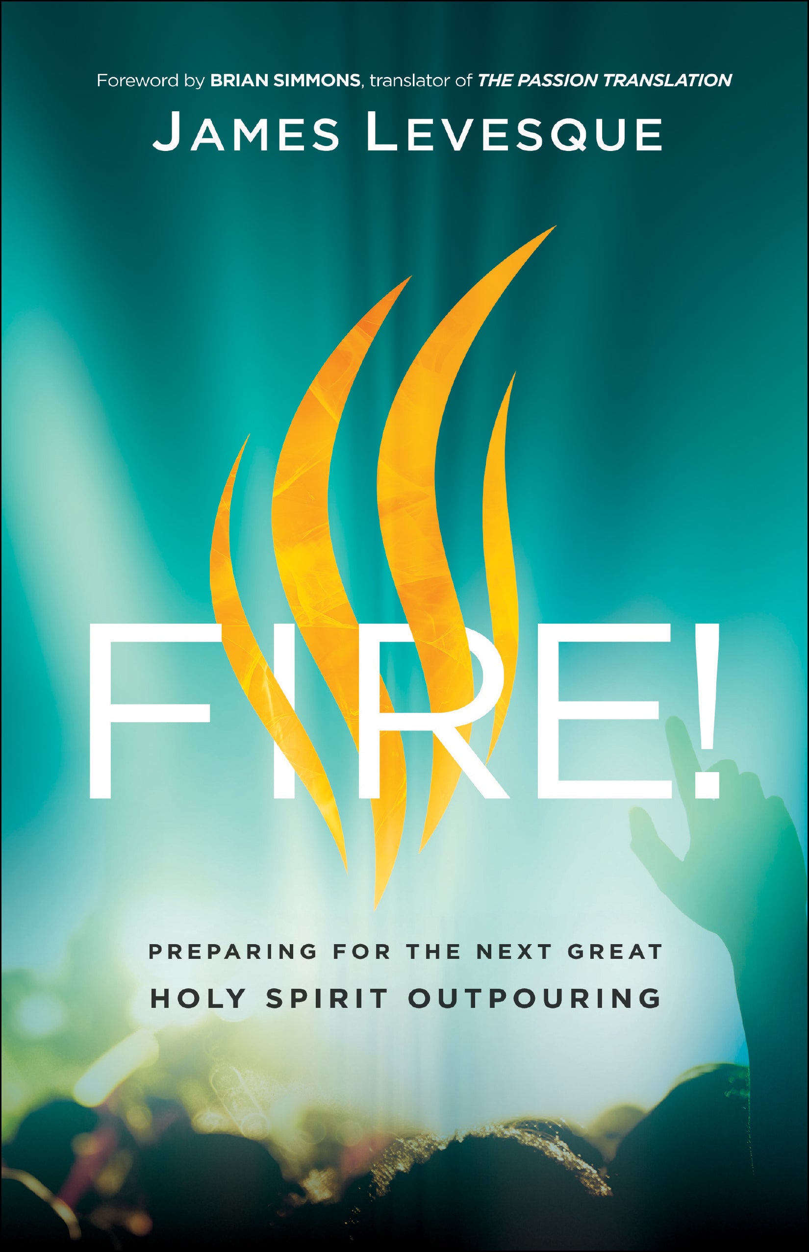 Fire!: Preparing For the Next Great Holy Spirit Outpouring