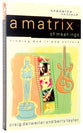 Matrix of Meanings, A: Finding God in Pop Culture (Engaging Culture Series)