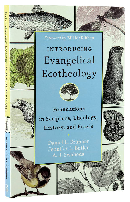 Introducing Evangelical Ecotheology