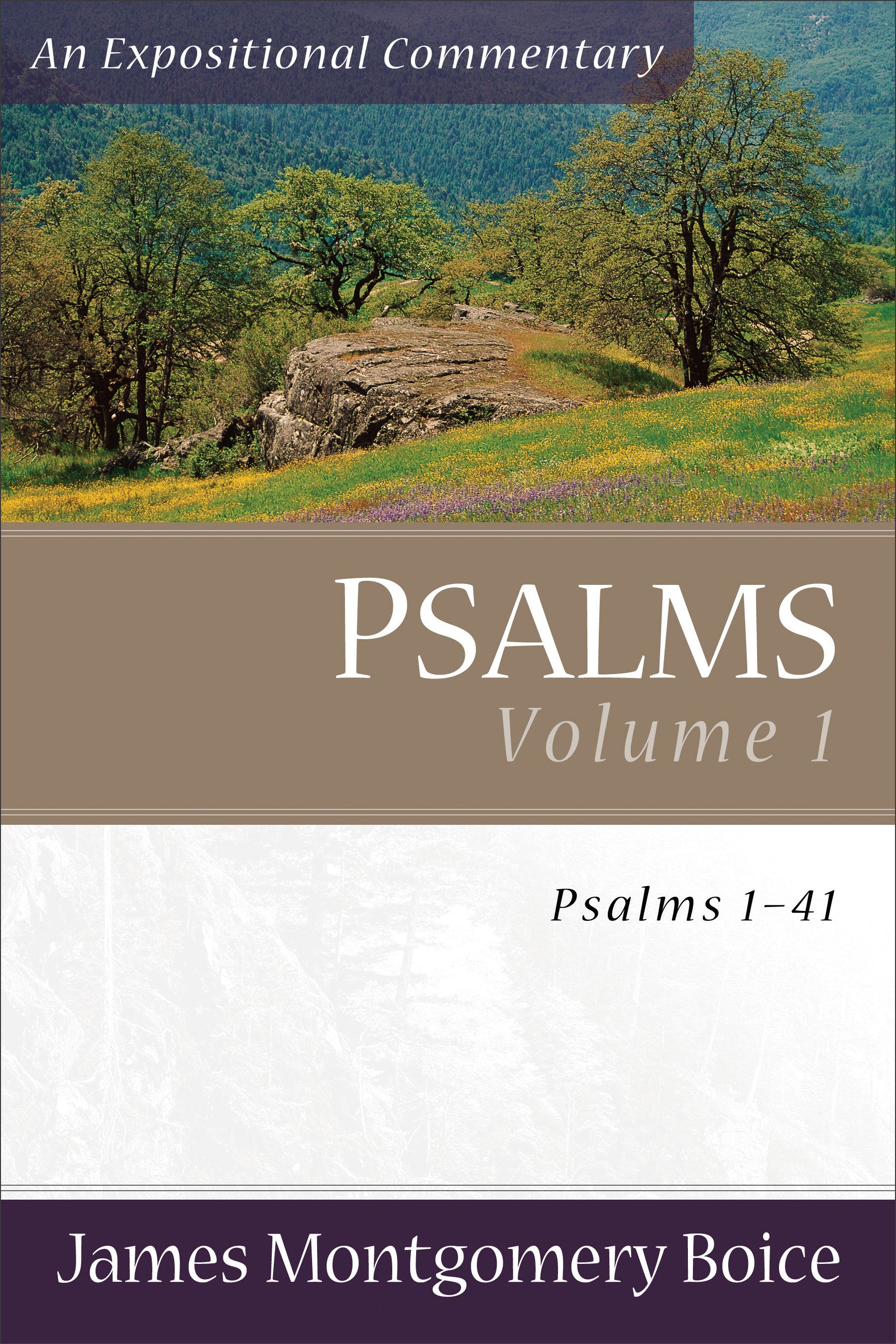 Psalms 1-41 (Volume 1) (Expositional Commentary Series)