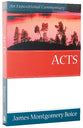 Acts (Expositional Commentary Series)