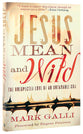 Jesus Mean and Wild