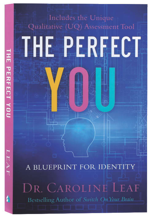 The Perfect You: A Blueprint For Identity