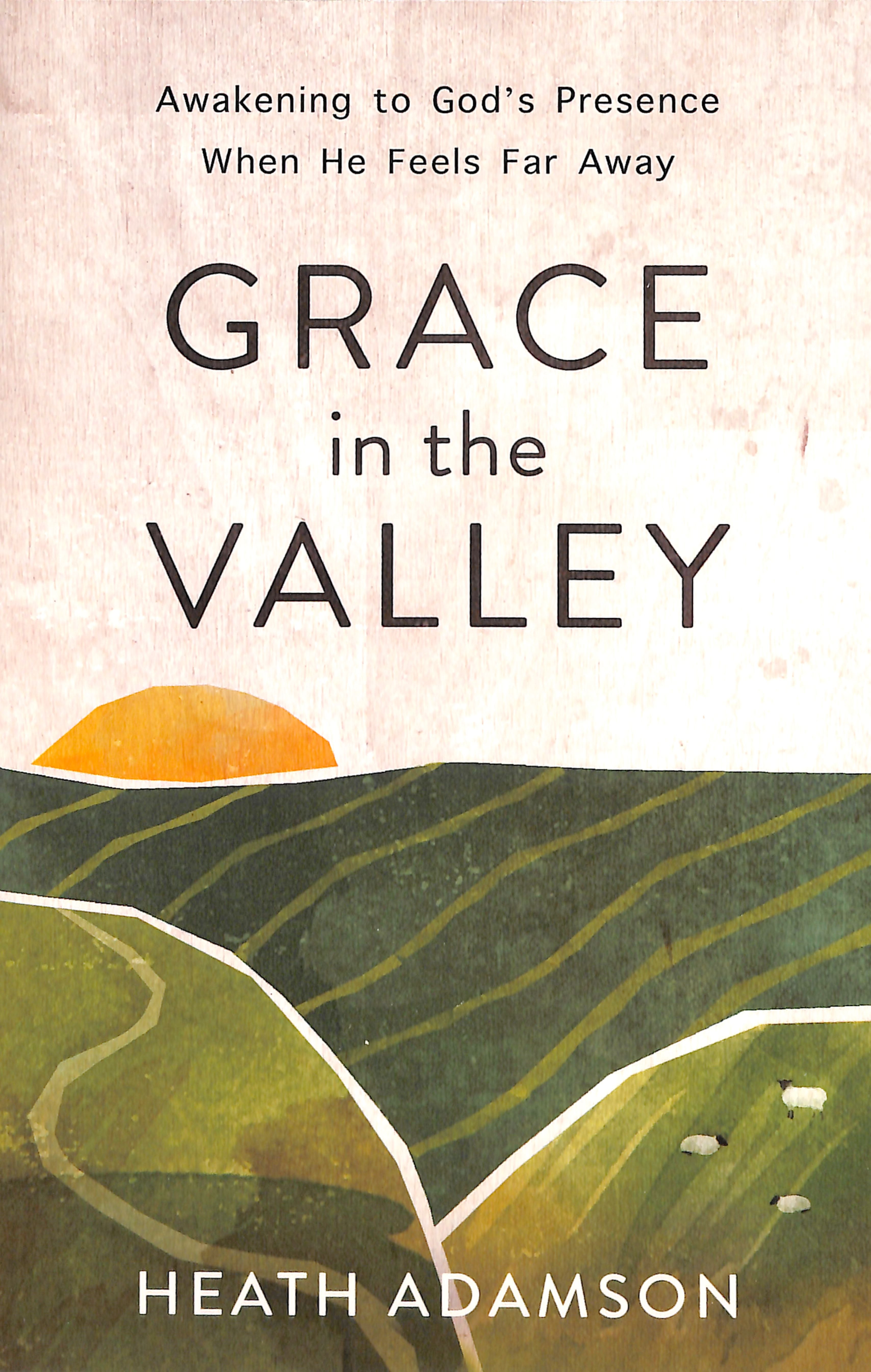 Grace in the Valley: Awakening to God's Presence When He Feels Far Away