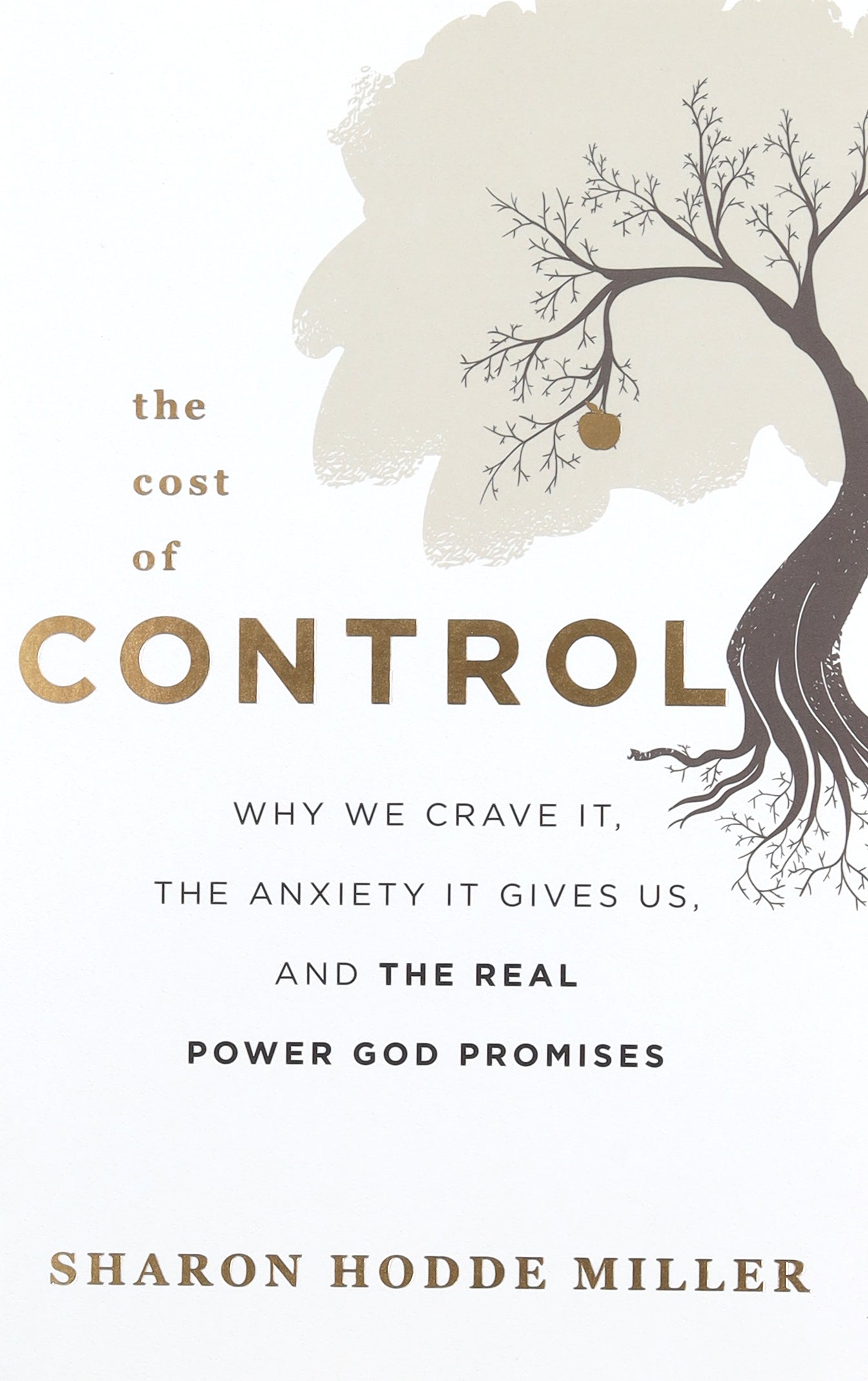 The Cost of Control: Why We Crave It, the Anxiety It Gives Us, and the Real Power God Promises