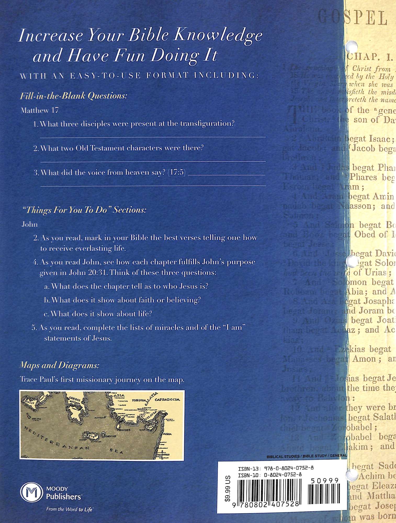 New Testament (#02 in Bible Workbook Series)