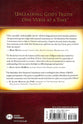 Matthew 24-28 (Macarthur New Testament Commentary Series)