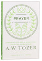 Prayer: Communing With God in Everything - Collected Insights From Aw Tozer (A W Tozer Collected Insights Series)