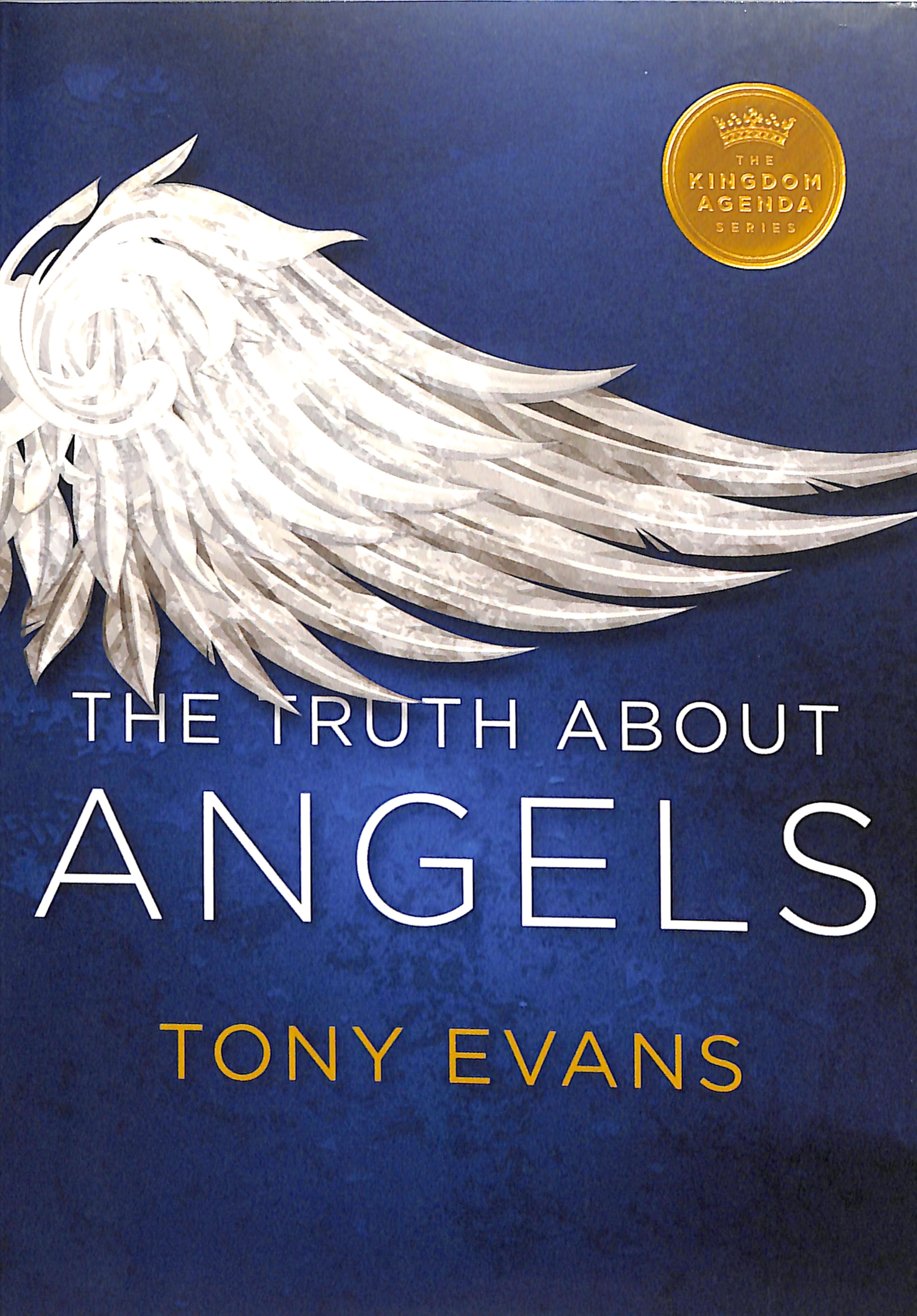The Truth About Angels (Kingdom Agenda Series)