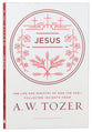 Jesus: The Life and Ministry of God the Son - Collected Insights From Aw Tozer (A W Tozer Collected Insights Series)