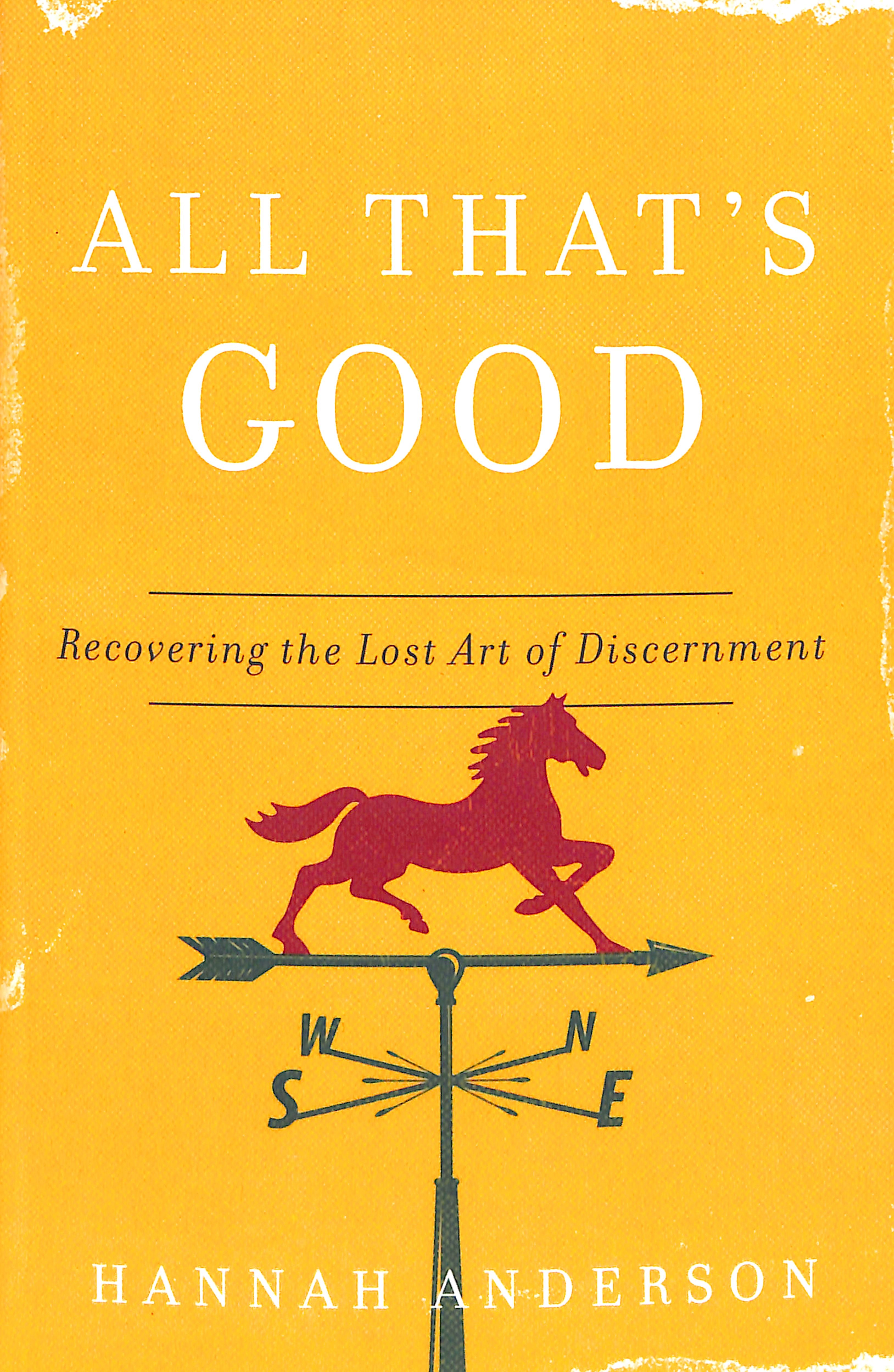 All That's Good: Recovering the Lost Art of Discernment