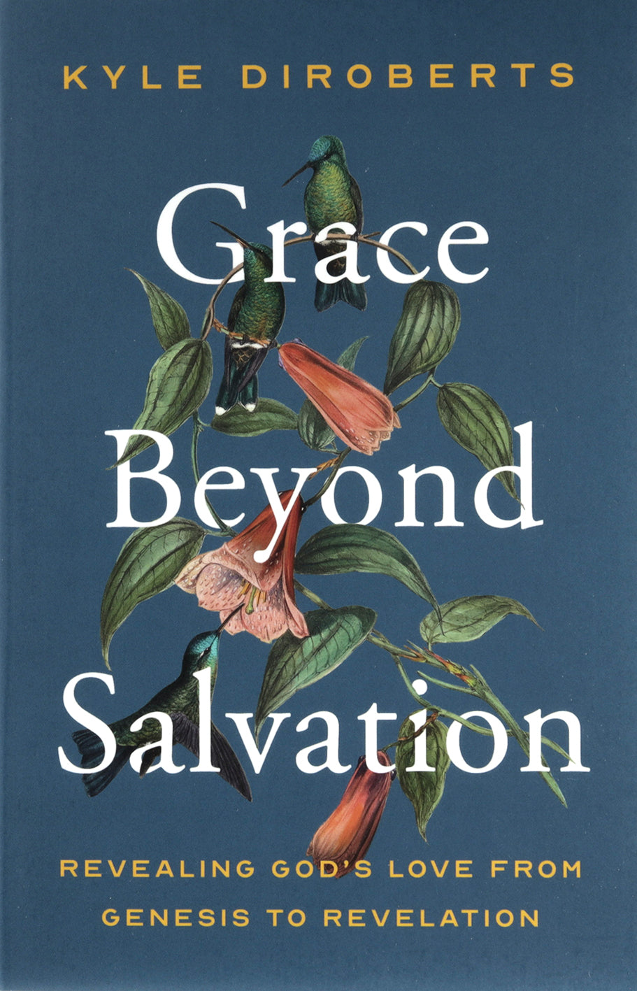 Grace Beyond Salvation: Revealing God's Love from Genesis to Revelation