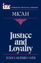 Itc Micah (International Theological Commentary Series)