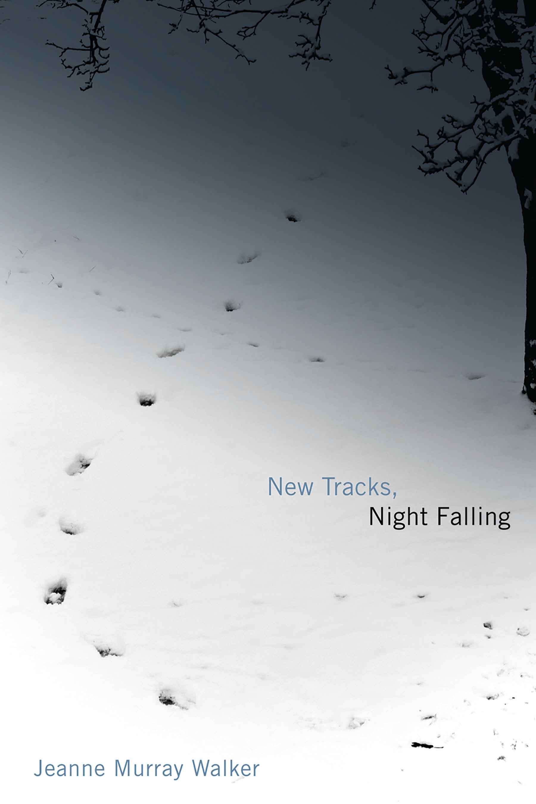 New Tracks, Night Falling