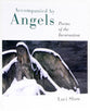 Accompanied By Angels