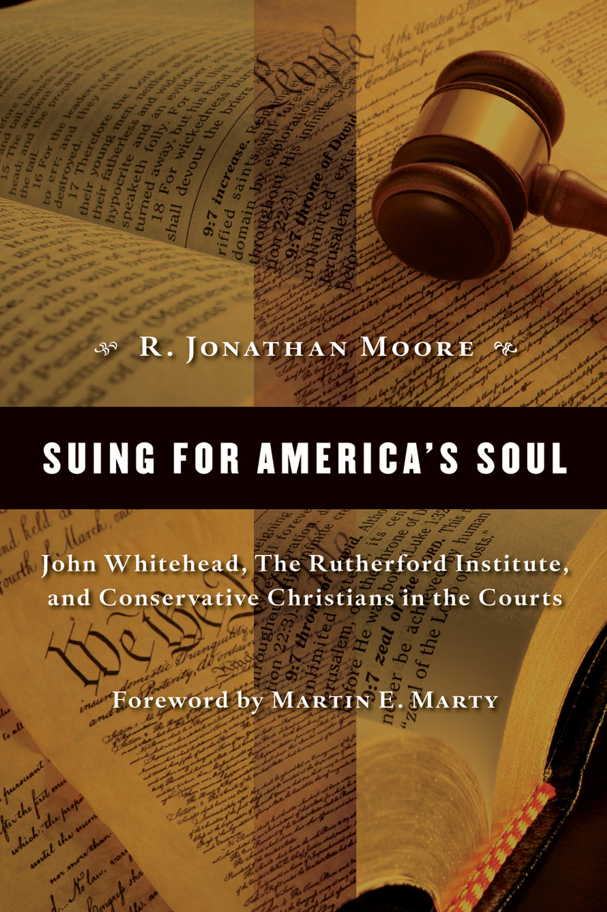 Suing For America's Soul (Emory University Studies In Law And Religion Series)