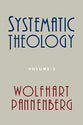 Systematic Theology (Vol 3)