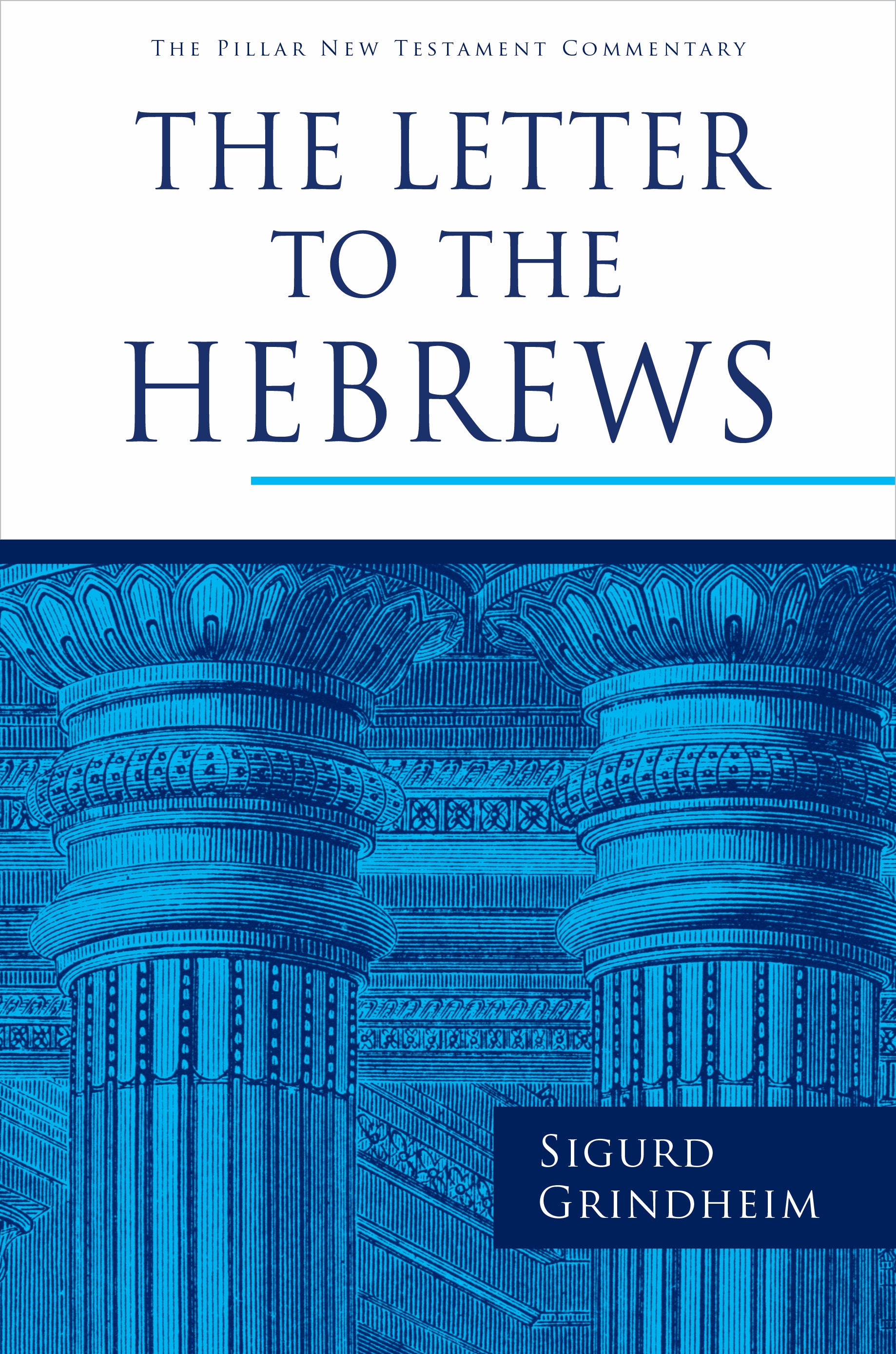 The Letter to the Hebrews (Pillar New Testament Commentary Series)