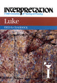 Luke (Interpretation Bible Commentaries Series)