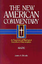Mark (#23 in New American Commentary Series)